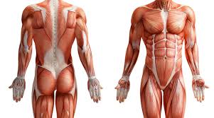 Cours de physiques