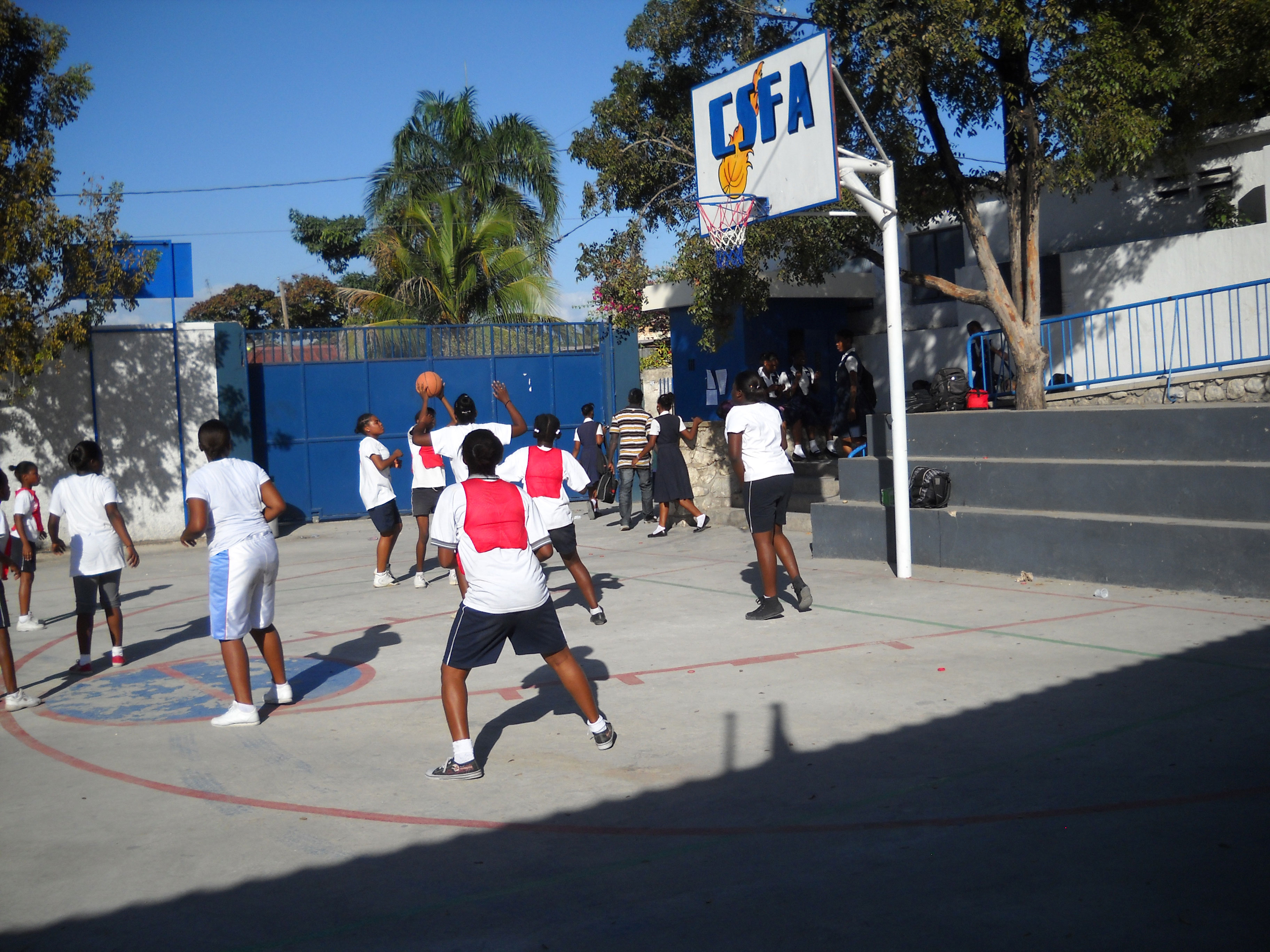 joueuses basketball sport